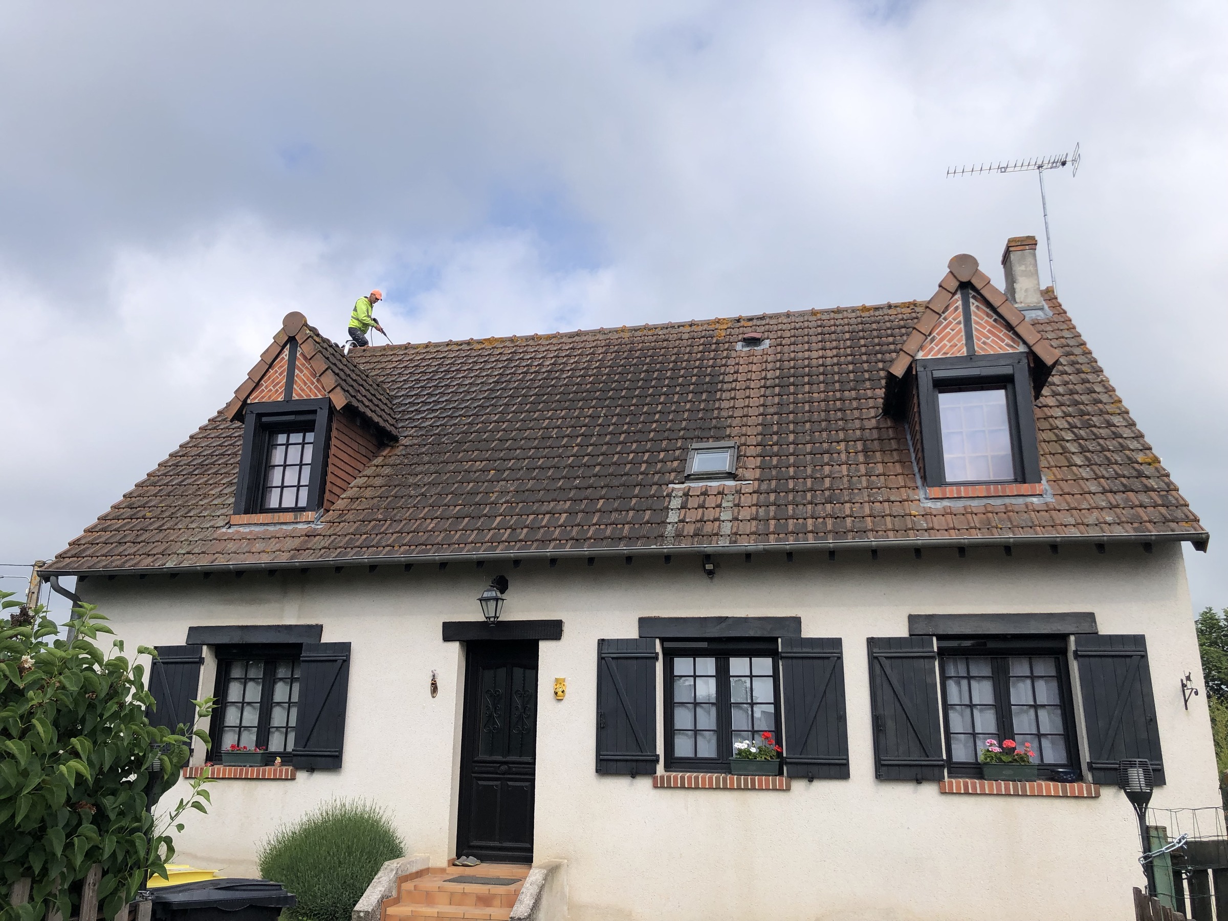 Toiture avant démoussage