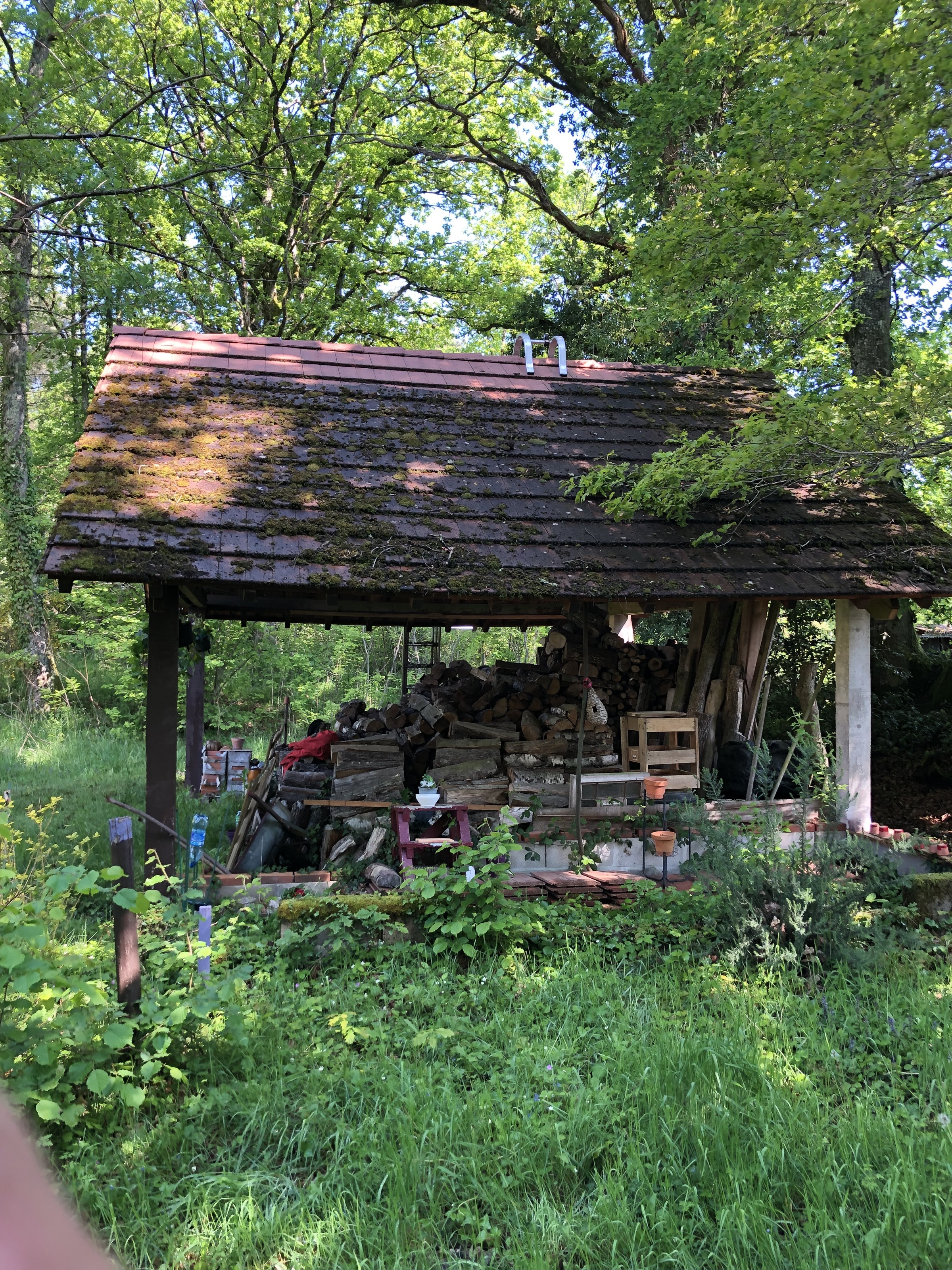 Petite toiture avant démoussage